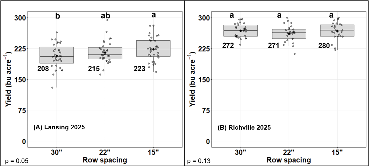 Side-by-side boxplots show 2025 corn yield by row spacing (30", 22", 15") at Lansing and Richville.  At Lansing, yield increased as rows narrowed (208, 215, 223 bu/ac), with 15" significantly higher than 30" (p = 0.05). At Richville, yields were higher overall (272, 271, 280 bu/ac) with no significant differences among spacings (p = 0.13).